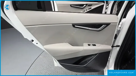 KIA NIRO EARTH