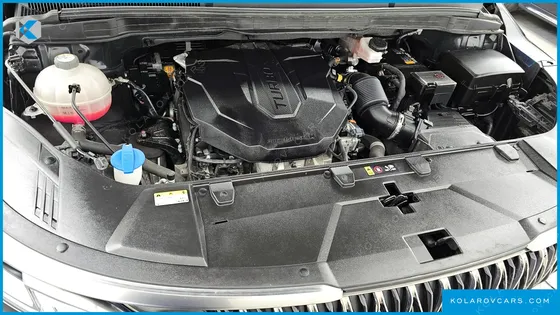 KIA CARNIVAL 7-SEATER HI-LIMOUSINE