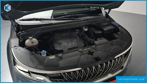 KIA CARNIVAL GASOLINE 9-SEATER SIGNATURE