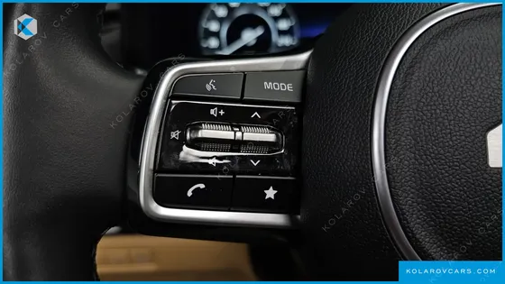 KIA CARNIVAL GASOLINE 9-SEATER SIGNATURE