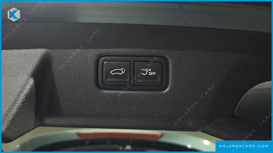KIA CARNIVAL GASOLINE 9-SEATER SIGNATURE