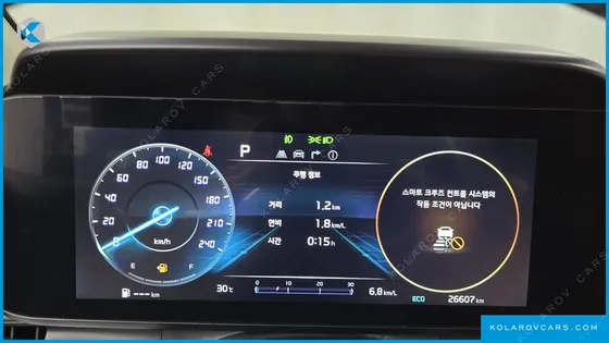 KIA CARNIVAL GASOLINE 9-SEATER SIGNATURE