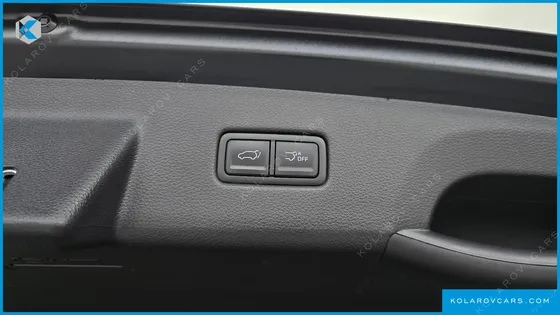KIA CARNIVAL GASOLINE 9-SEATER SIGNATURE