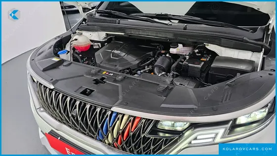 KIA CARNIVAL 9-SEATER HI-LIMOUSINE