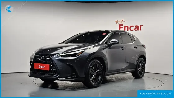 LEXUS NX PREMIUM