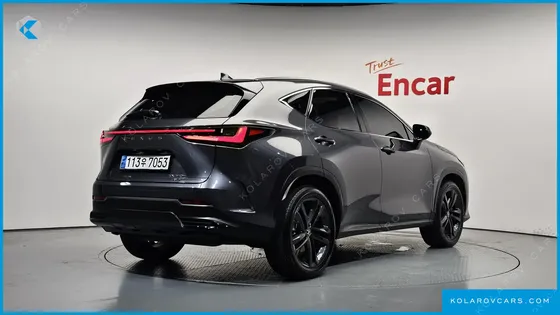 LEXUS NX PREMIUM