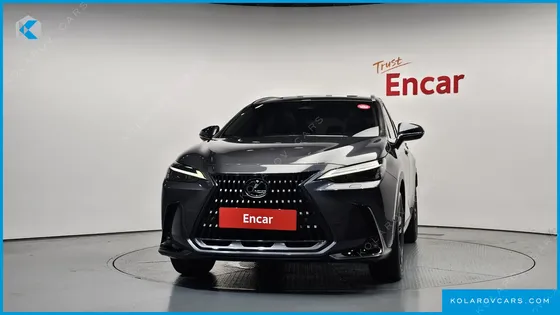 LEXUS NX PREMIUM