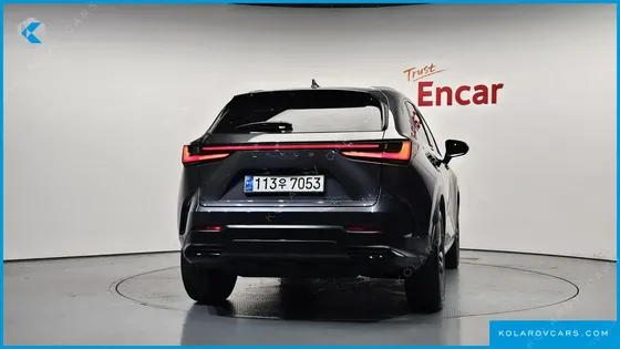LEXUS NX PREMIUM