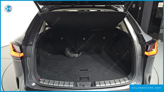 LEXUS NX PREMIUM
