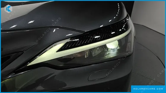 LEXUS NX PREMIUM