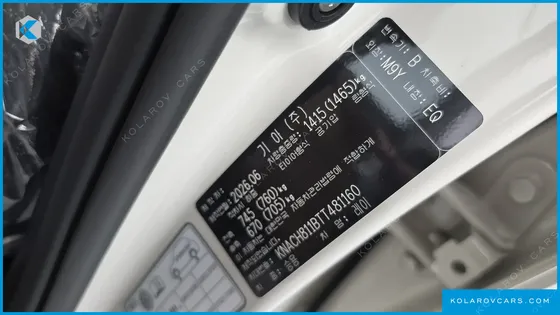 KIA RAY SIGNATURE
