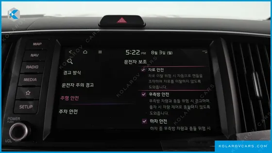 KIA RAY SIGNATURE