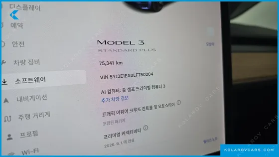 TESLA MODEL 3 STANDARD RANGE PLUE RWD