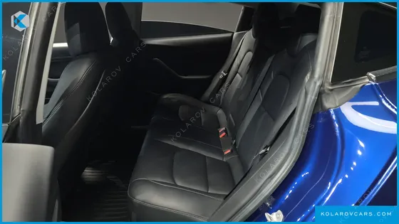 TESLA MODEL 3 STANDARD RANGE PLUE RWD