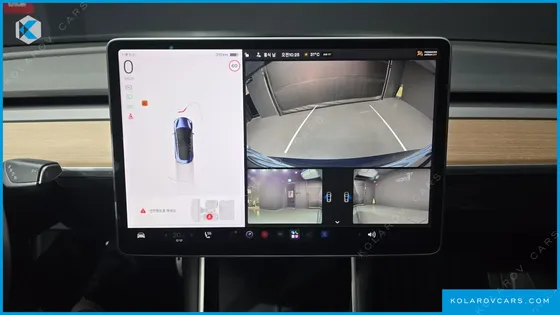 TESLA MODEL 3 STANDARD RANGE PLUE RWD