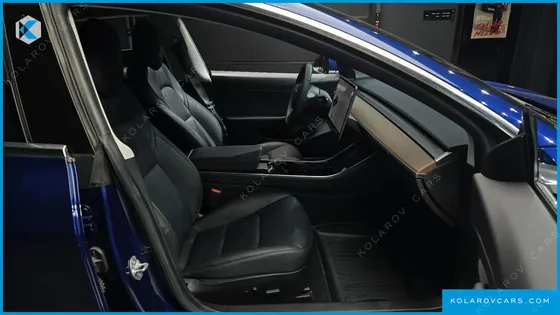 TESLA MODEL 3 STANDARD RANGE PLUE RWD