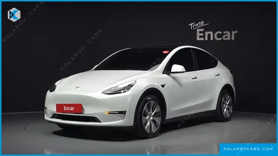 TESLA MODEL Y LONG RANGE AWD