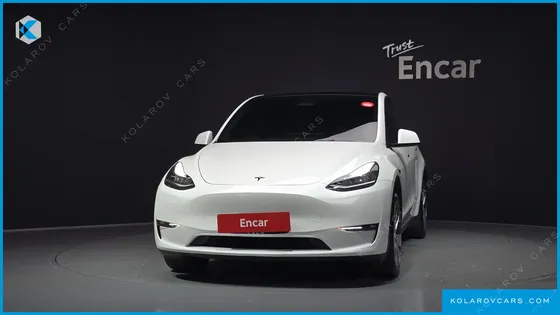 TESLA MODEL Y LONG RANGE AWD