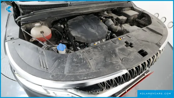 KIA CARNIVAL 9-SEATER SIGNATURE
