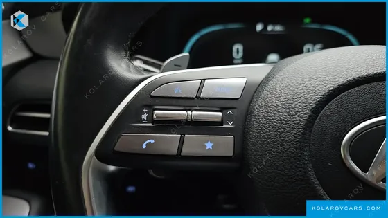 HYUNDAI PALISADE GASOLINE 3.8 2WD