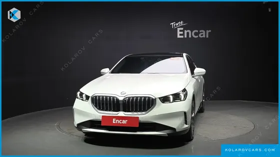 BMW 5 SERIES 530E