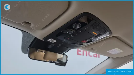 KIA CARNIVAL GASOLINE 9-SEATER NOBLESSE