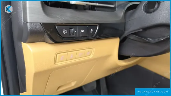 KIA CARNIVAL GASOLINE 9-SEATER SIGNATURE