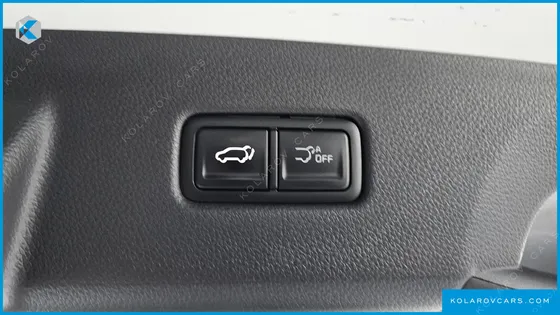 KIA CARNIVAL HEV 9SEATER NOBLESS
