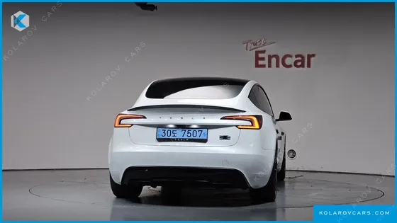 TESLA MODEL 3 PERFORMANCE AWD