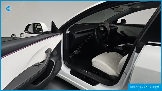 TESLA MODEL 3 PERFORMANCE AWD