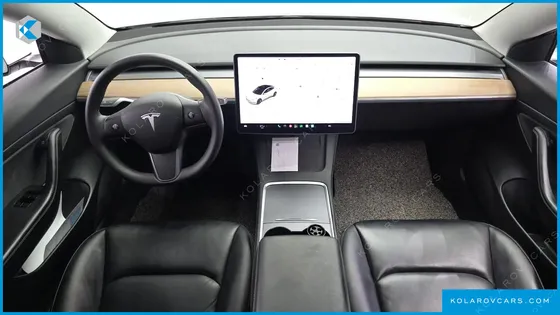 TESLA MODEL 3 STANDARD RANGE PLUE RWD