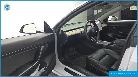 TESLA MODEL 3 STANDARD RANGE PLUE RWD