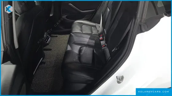 TESLA MODEL 3 STANDARD RANGE PLUE RWD