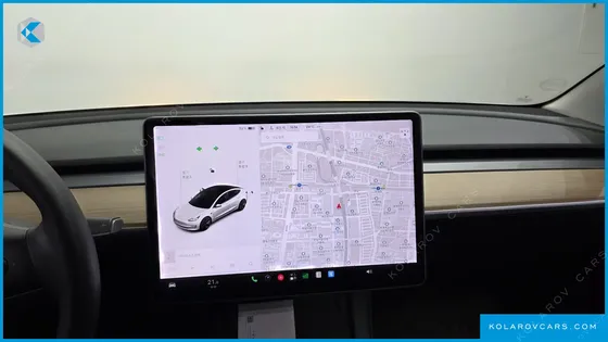 TESLA MODEL 3 STANDARD RANGE PLUE RWD