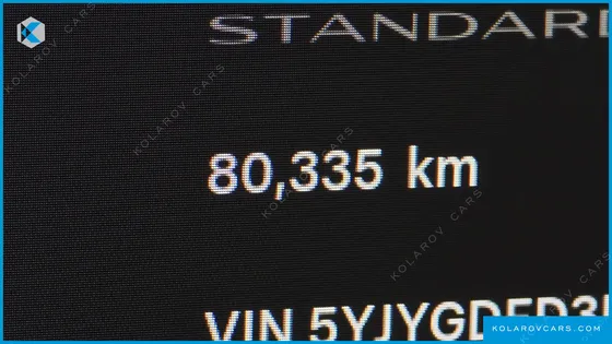 TESLA MODEL Y STANDARD RANGE RWD