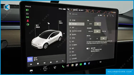 TESLA MODEL Y STANDARD RANGE RWD