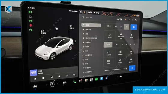 TESLA MODEL Y STANDARD RANGE RWD