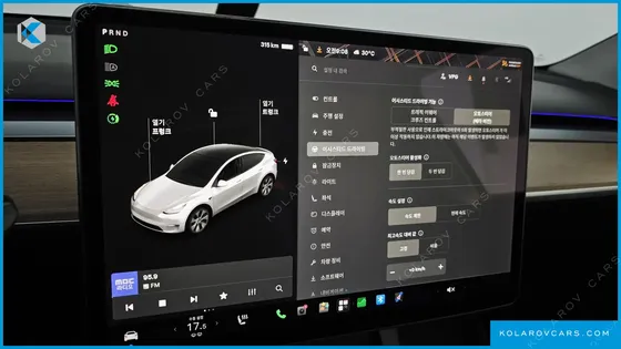 TESLA MODEL Y STANDARD RANGE RWD