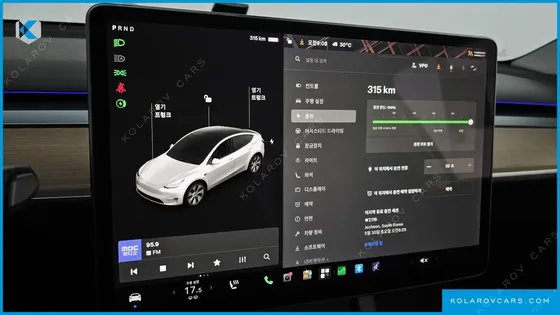 TESLA MODEL Y STANDARD RANGE RWD