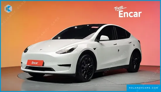 TESLA MODEL Y RWD