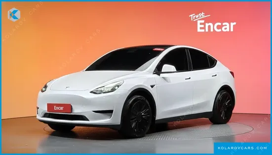 TESLA MODEL Y RWD