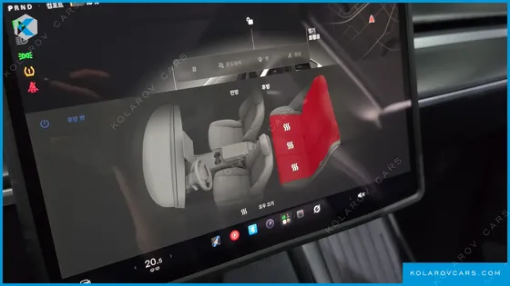 TESLA MODEL Y RWD