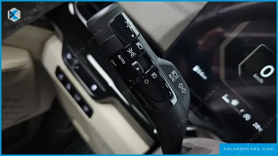 KIA CARNIVAL 9-SEATER GRAVITY