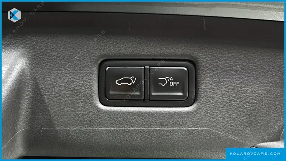 KIA CARNIVAL 9-SEATER NOBLESSE