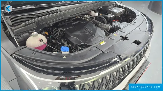 KIA CARNIVAL 9-SEATER HI LIMOUSINE (SPECIAL VEHICLE)