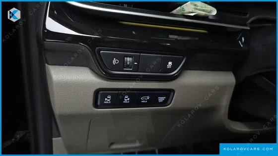 KIA CARNIVAL 9-SEATER HI LIMOUSINE (SPECIAL VEHICLE)