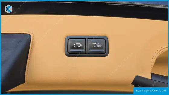 KIA CARNIVAL 9-SEATER HI LIMOUSINE (SPECIAL VEHICLE)