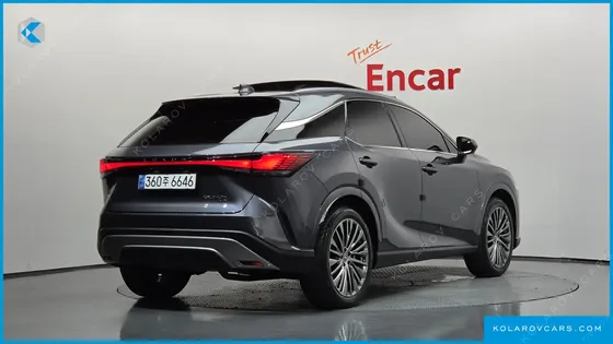 LEXUS RX LUXURY