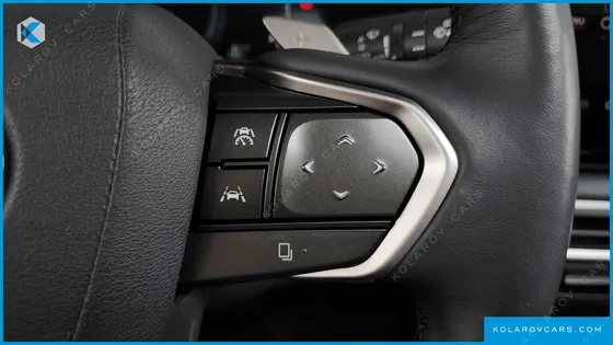 LEXUS RX LUXURY