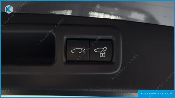 LEXUS RX LUXURY